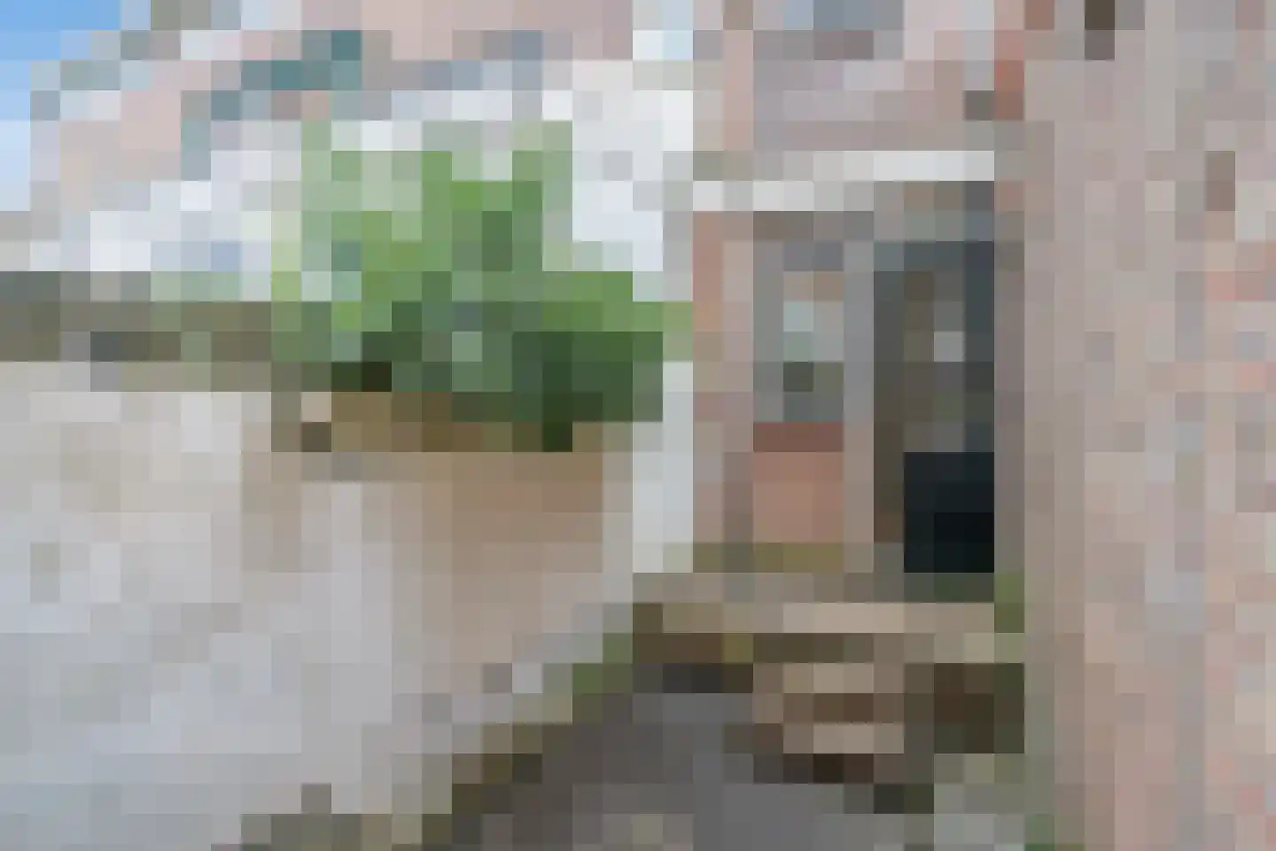 Boeroestraat 56 Delft thumbnail 20