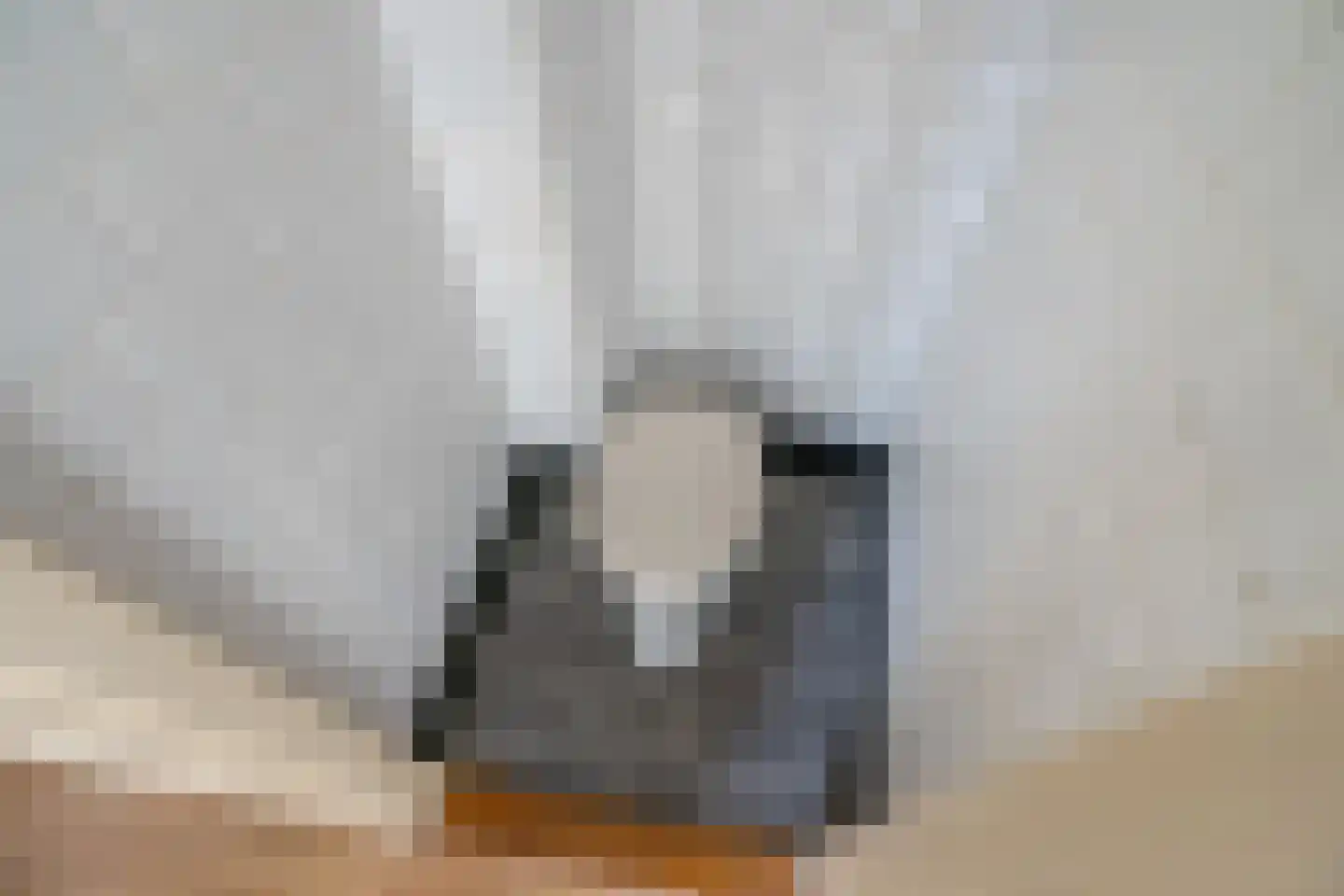 Boeroestraat 56 Delft thumbnail 22