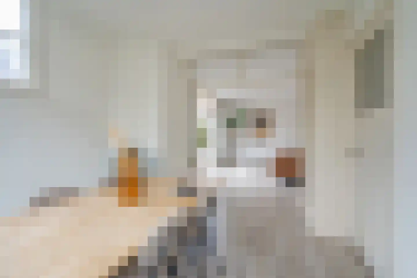 Boeroestraat 56 Delft thumbnail 9