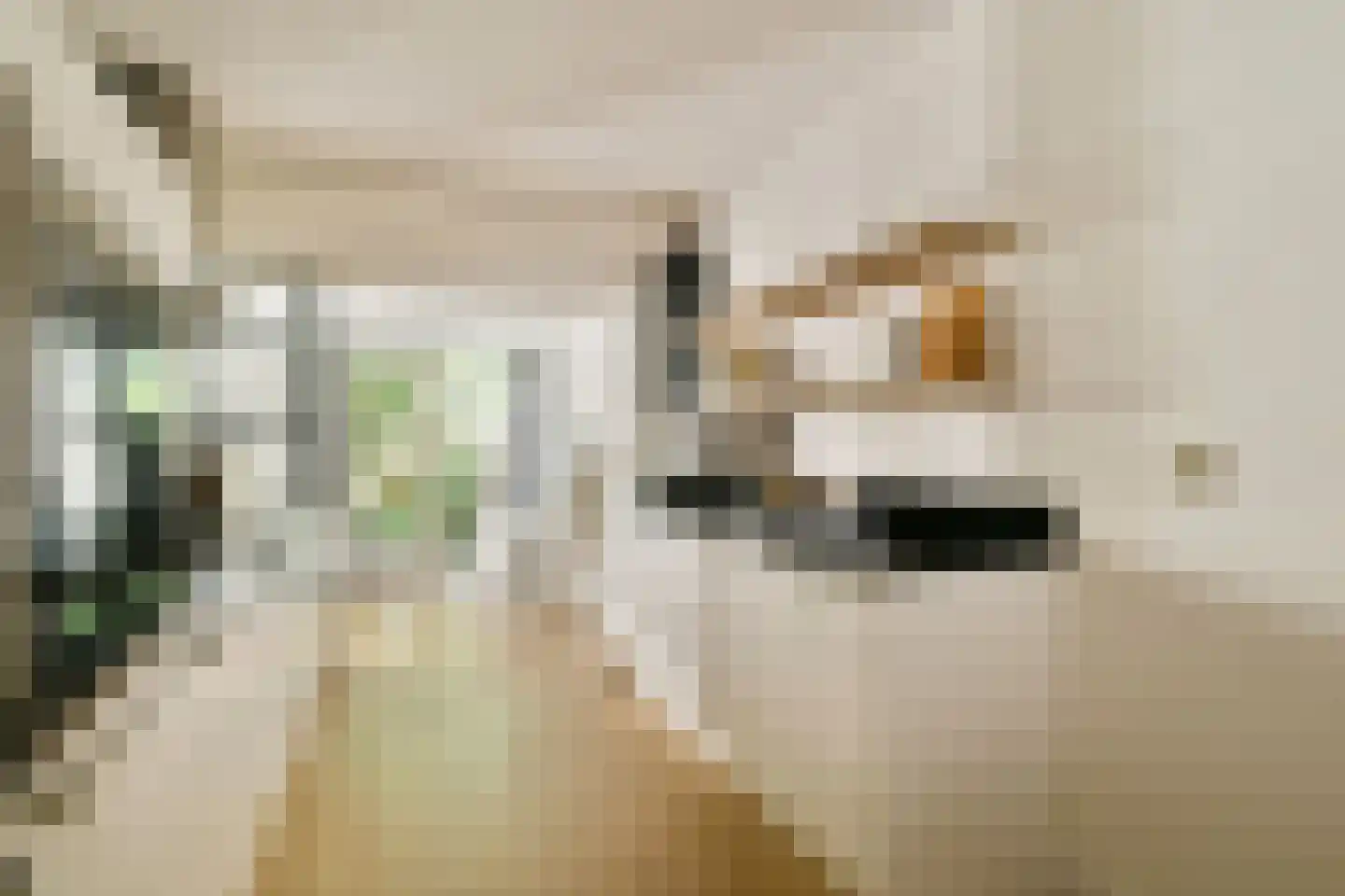 Boeroestraat 59 Amsterdam thumbnail 4