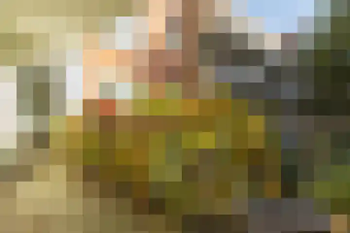 Boeroestraat 9 Amsterdam thumbnail 12