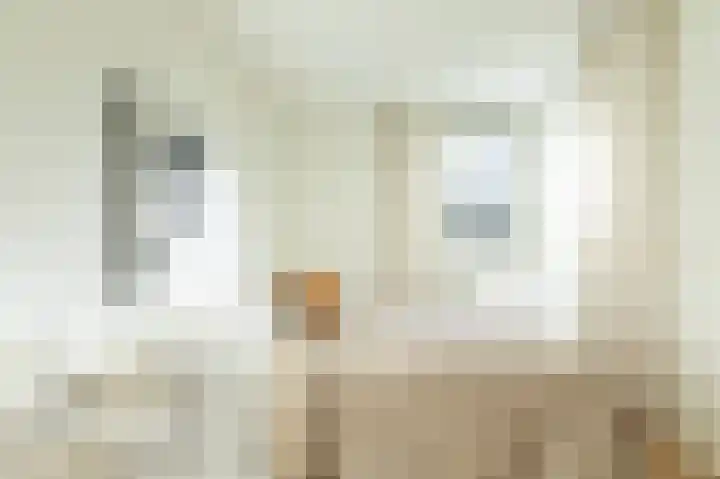 Boeroestraat 9 Amsterdam thumbnail 16