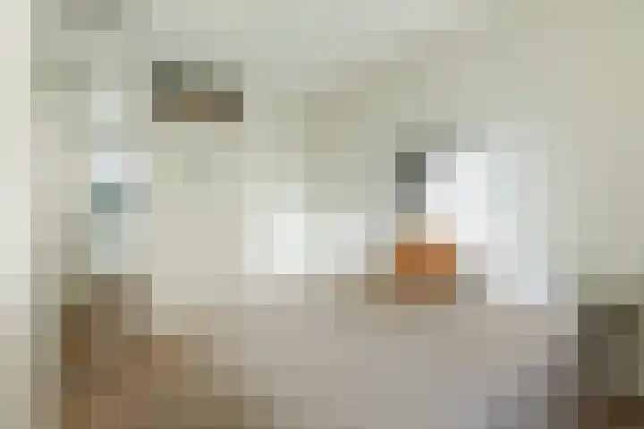 Boeroestraat 9 Amsterdam thumbnail 17
