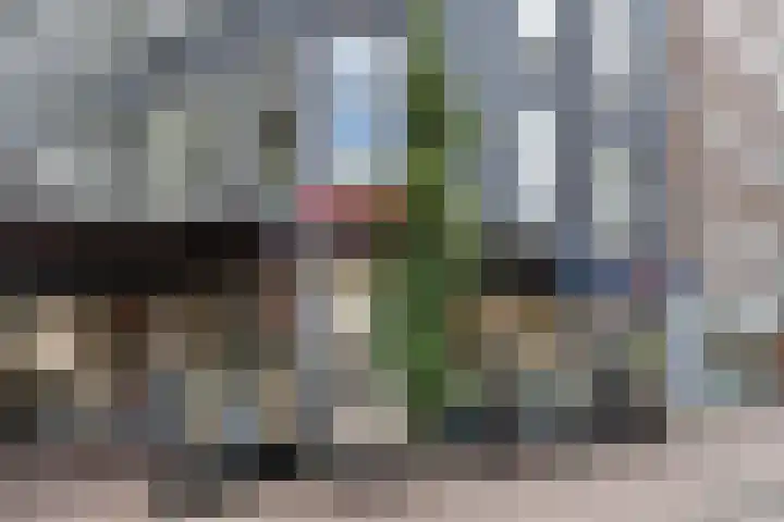 Boeroestraat 9 Amsterdam thumbnail 42