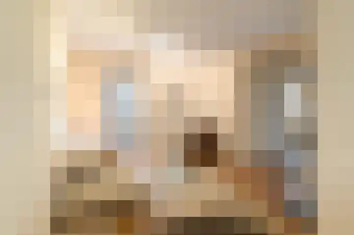 Boeroestraat 9 Amsterdam thumbnail 8