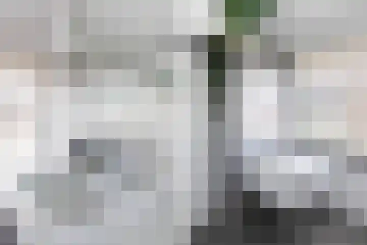 Boeroestraat 90 Dordrecht thumbnail 35
