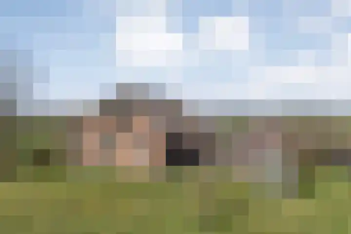 Boerpad 4 Ruinerwold