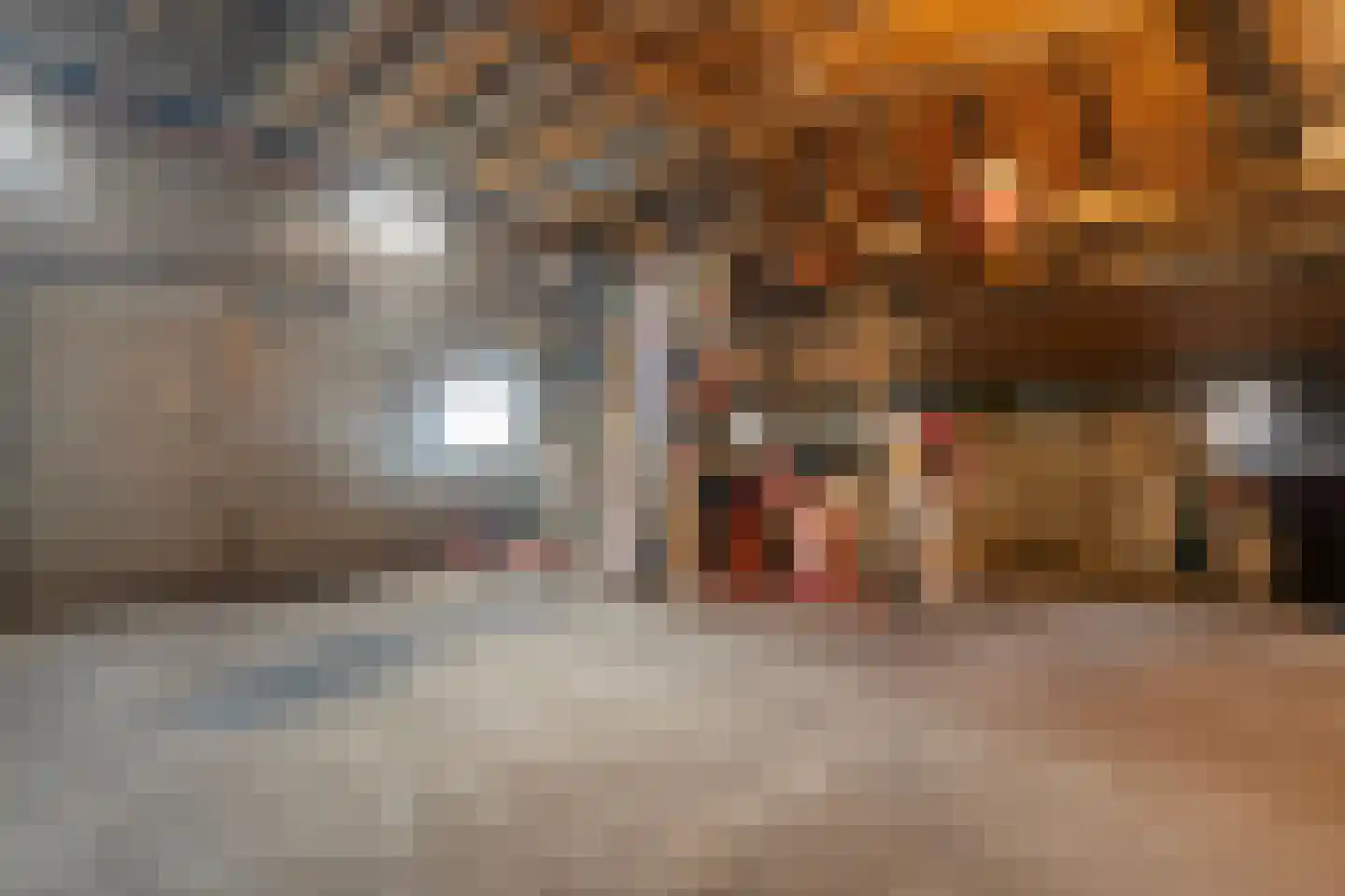 Boerpad 4 Ruinerwold thumbnail 33