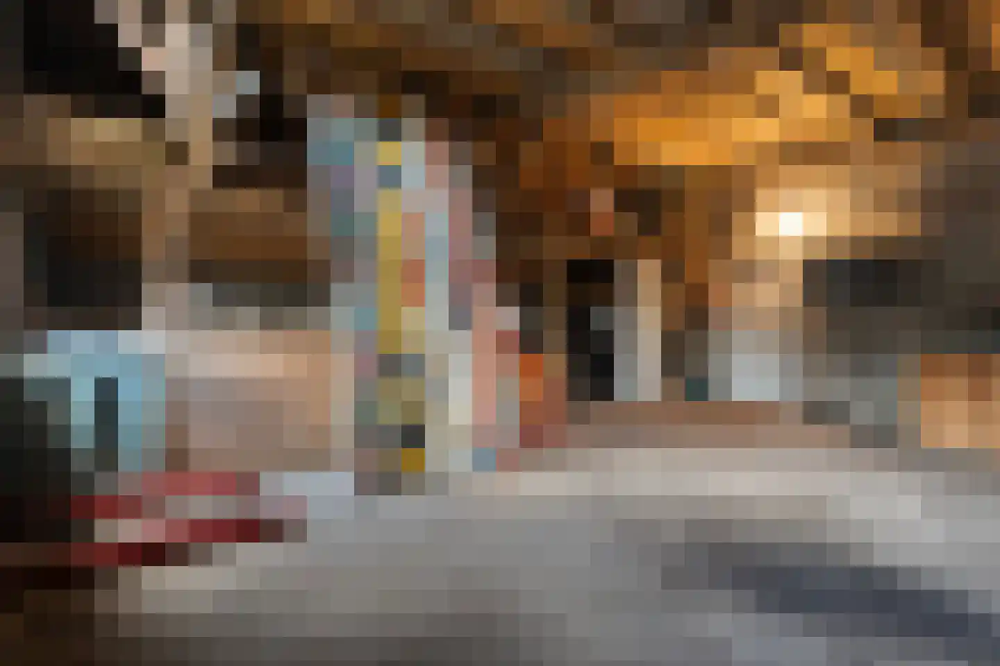Boerpad 4 Ruinerwold thumbnail 34