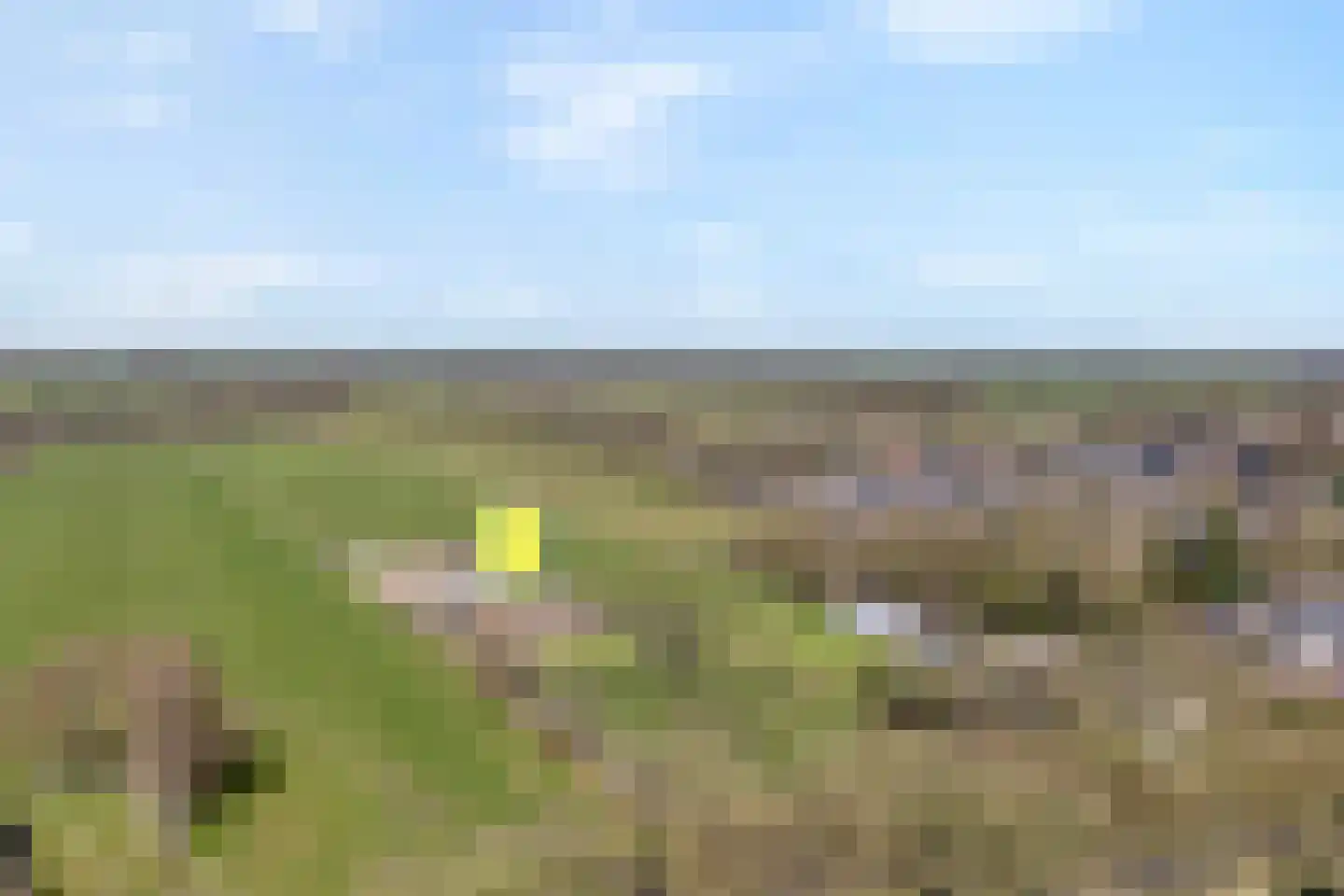 Boerpad 4 Ruinerwold thumbnail 4