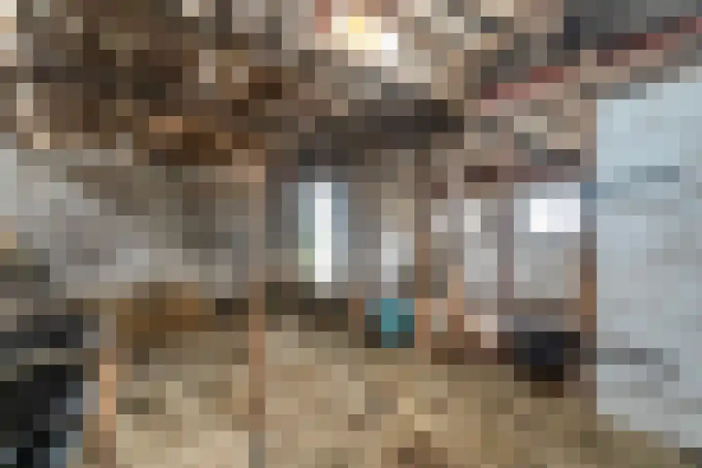 Boerpad 4 Ruinerwold thumbnail 40