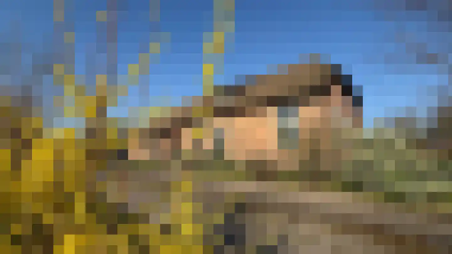 Boerpad 4 Ruinerwold thumbnail 47