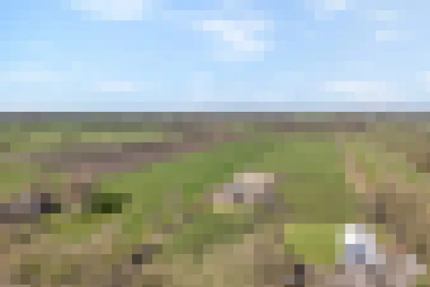 Boerpad 4 Ruinerwold thumbnail 50
