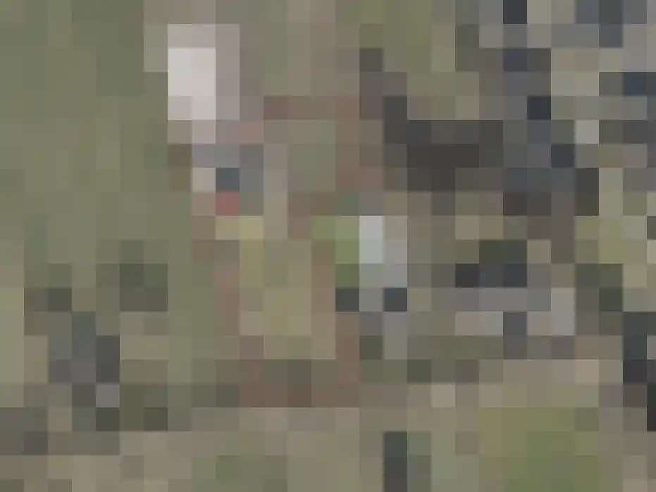 Boerpad 4 Ruinerwold thumbnail 53