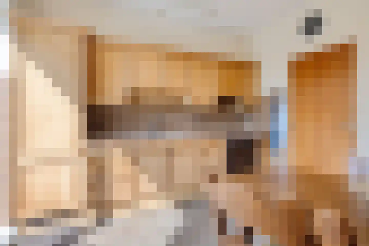 Boerrichter 18 Sellingen thumbnail 16