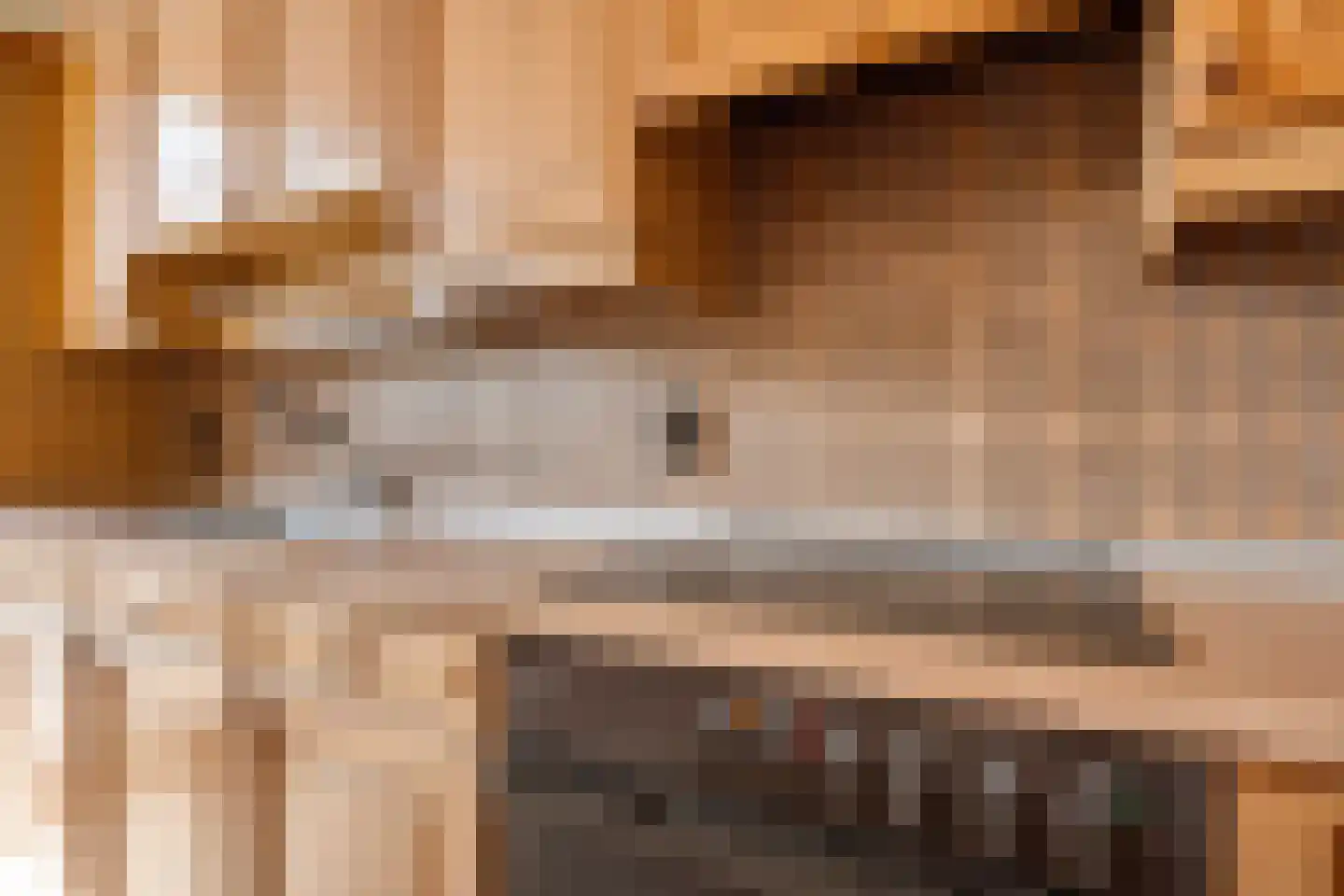 Boerrichter 18 Sellingen thumbnail 18