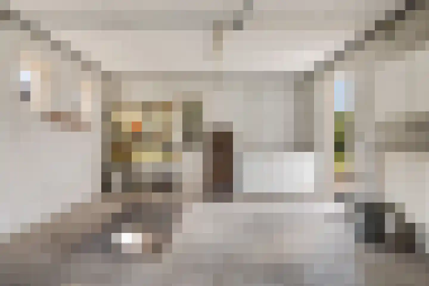 Boerrichter 18 Sellingen thumbnail 20