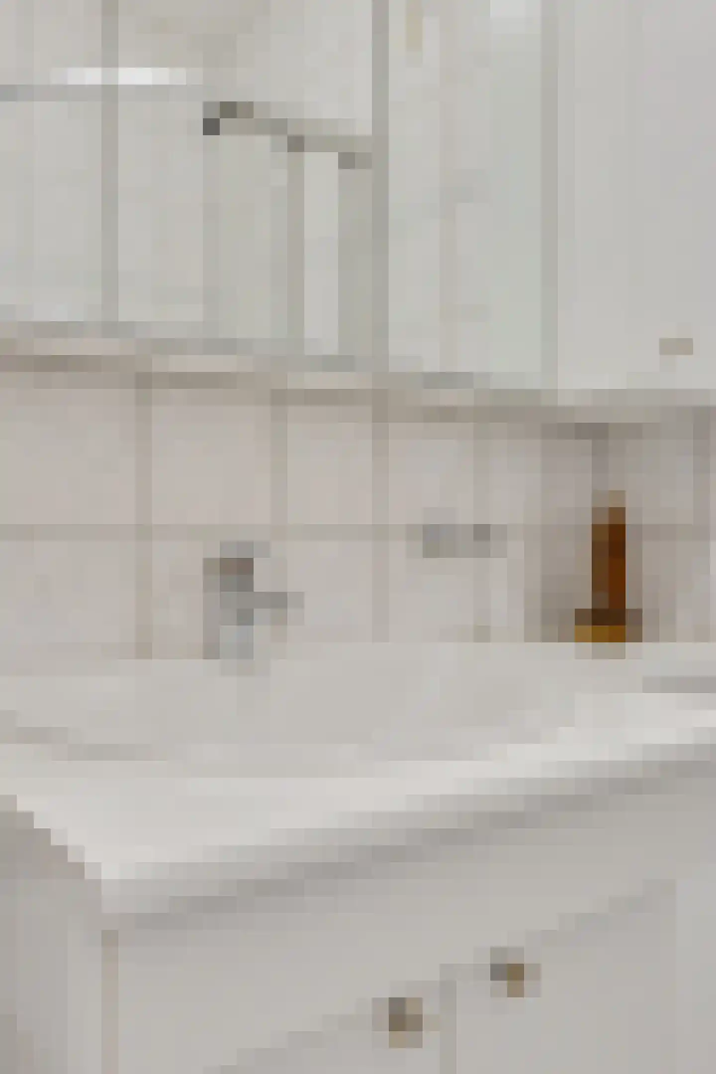 Boerrichter 18 Sellingen thumbnail 27
