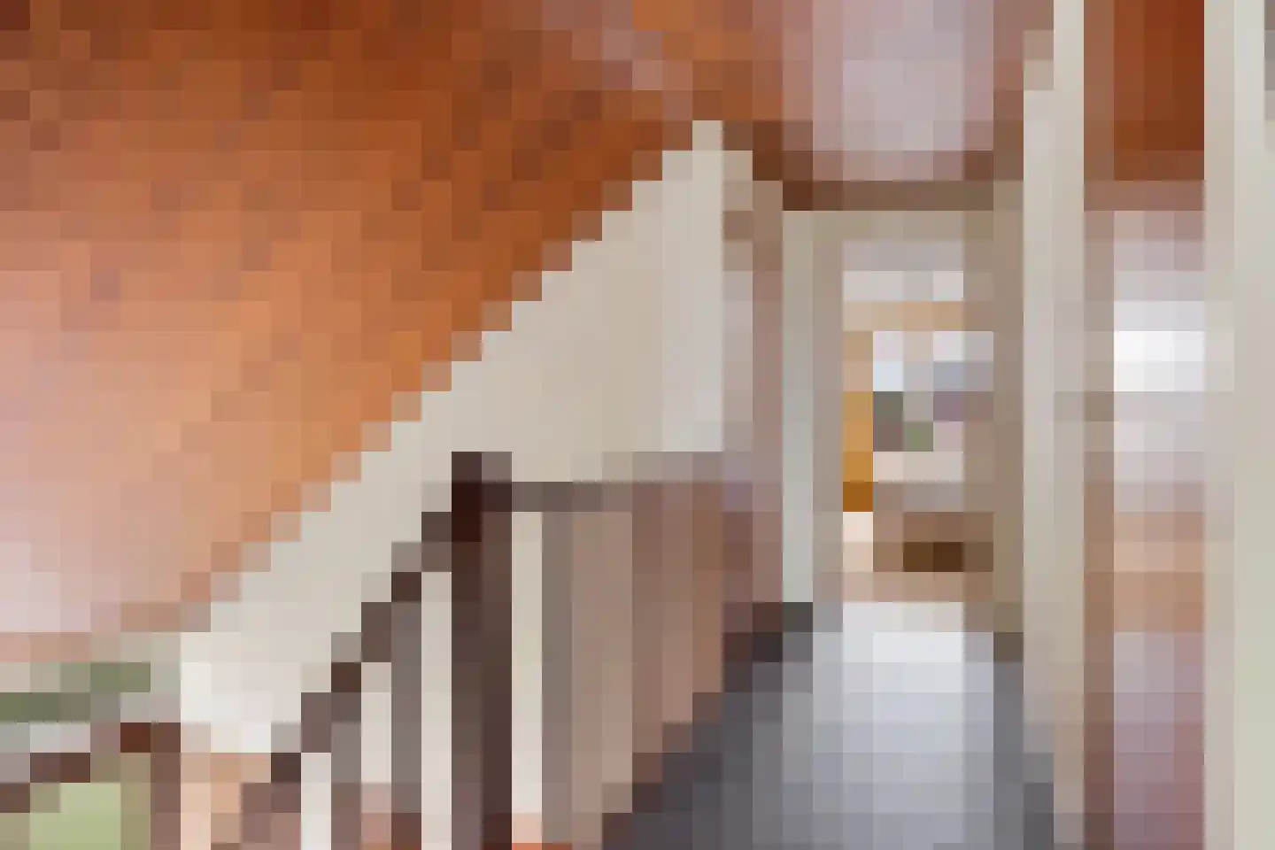 Boerrichter 18 Sellingen thumbnail 29