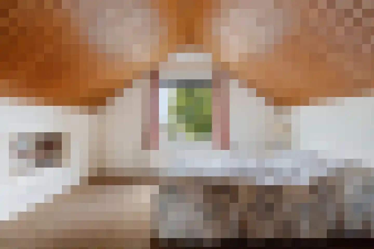 Boerrichter 18 Sellingen thumbnail 30