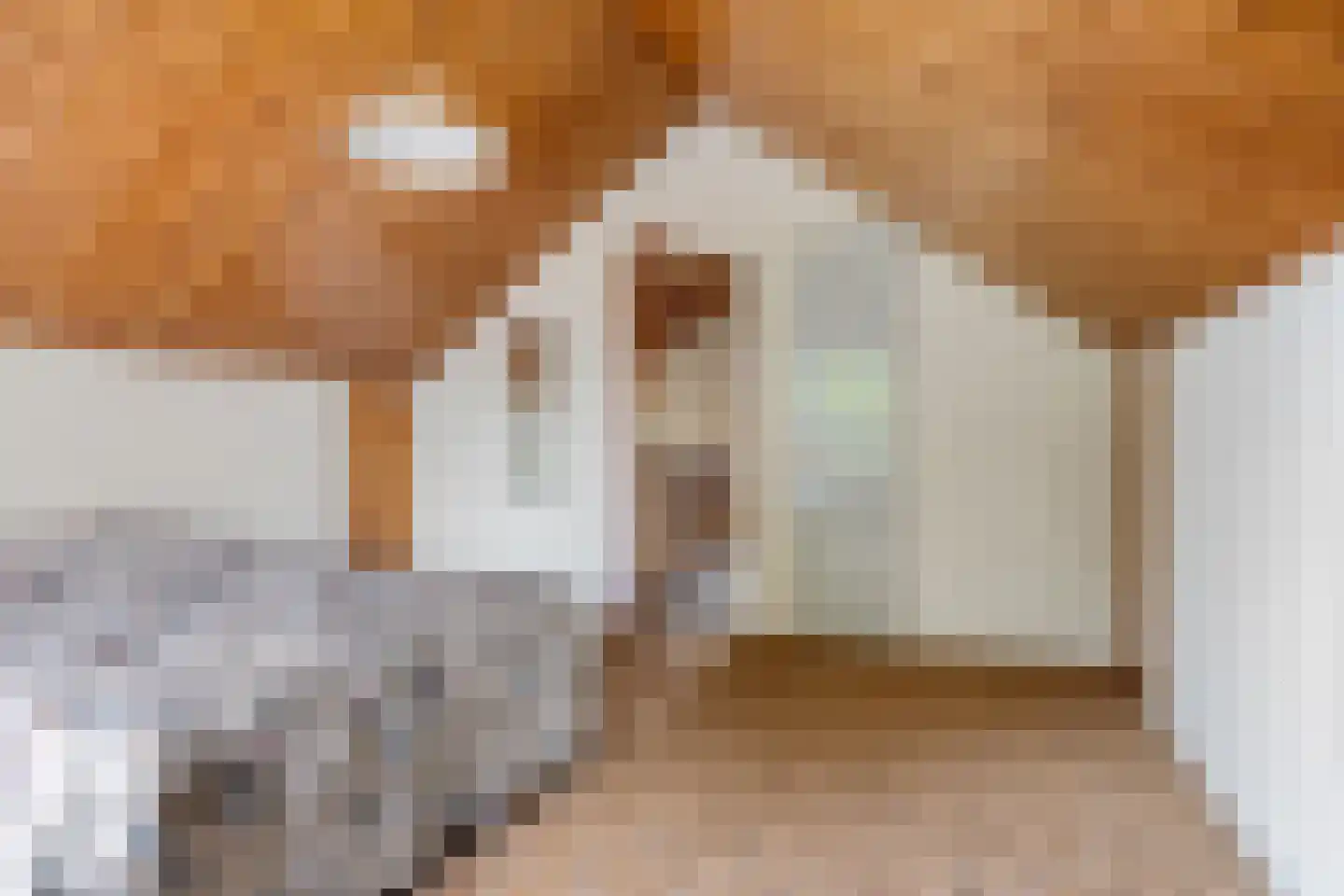 Boerrichter 18 Sellingen thumbnail 32