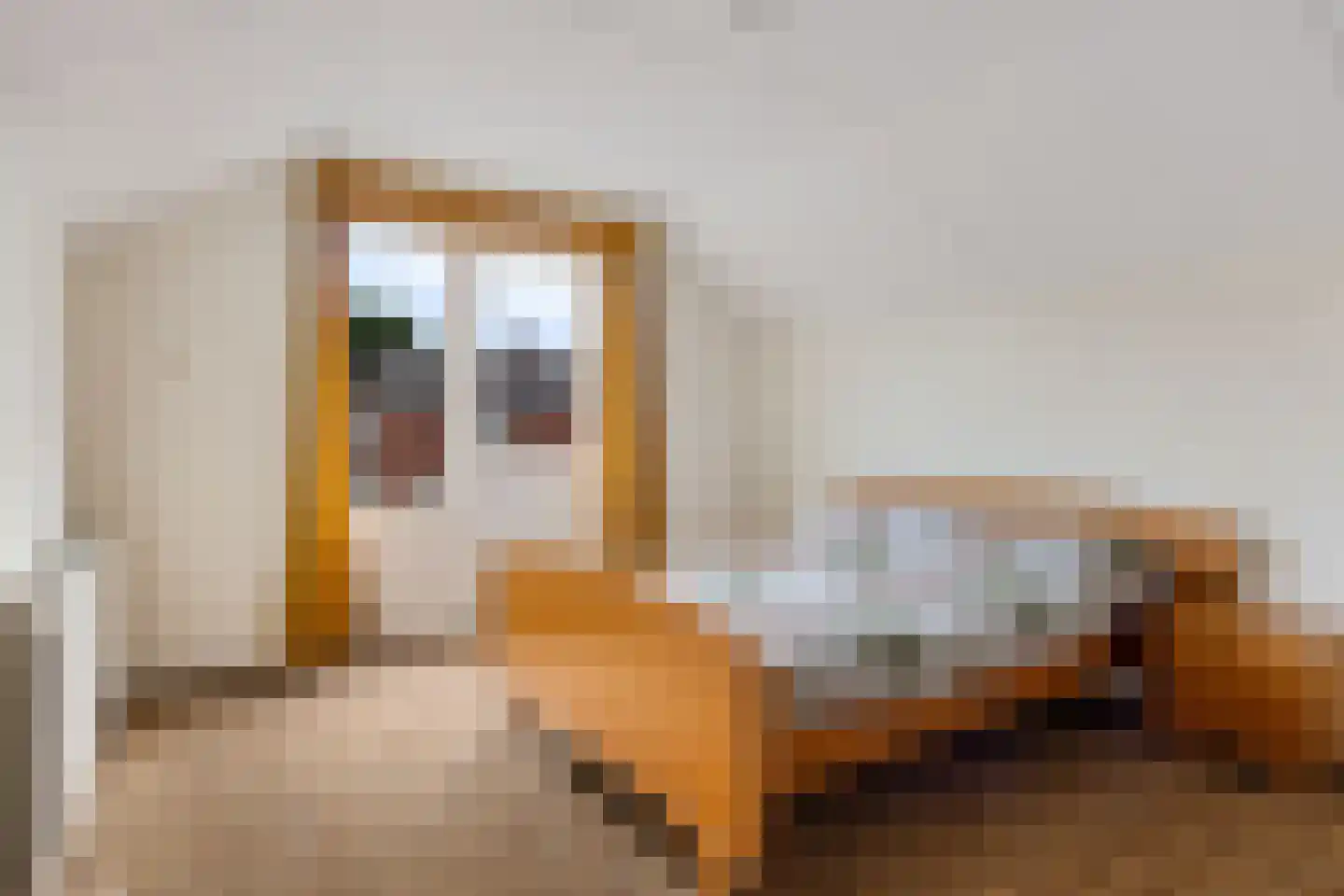 Boerrichter 18 Sellingen thumbnail 34