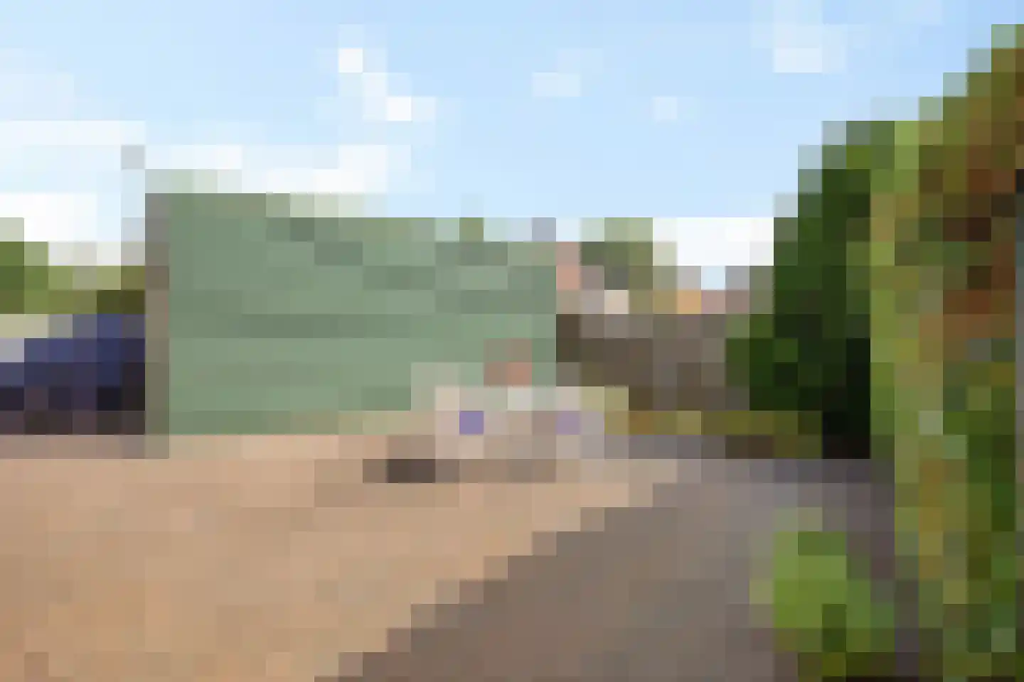 Boerrichter 18 Sellingen thumbnail 46