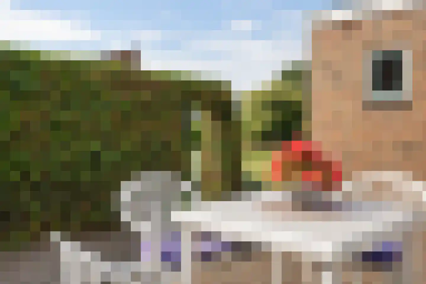 Boerrichter 18 Sellingen thumbnail 47