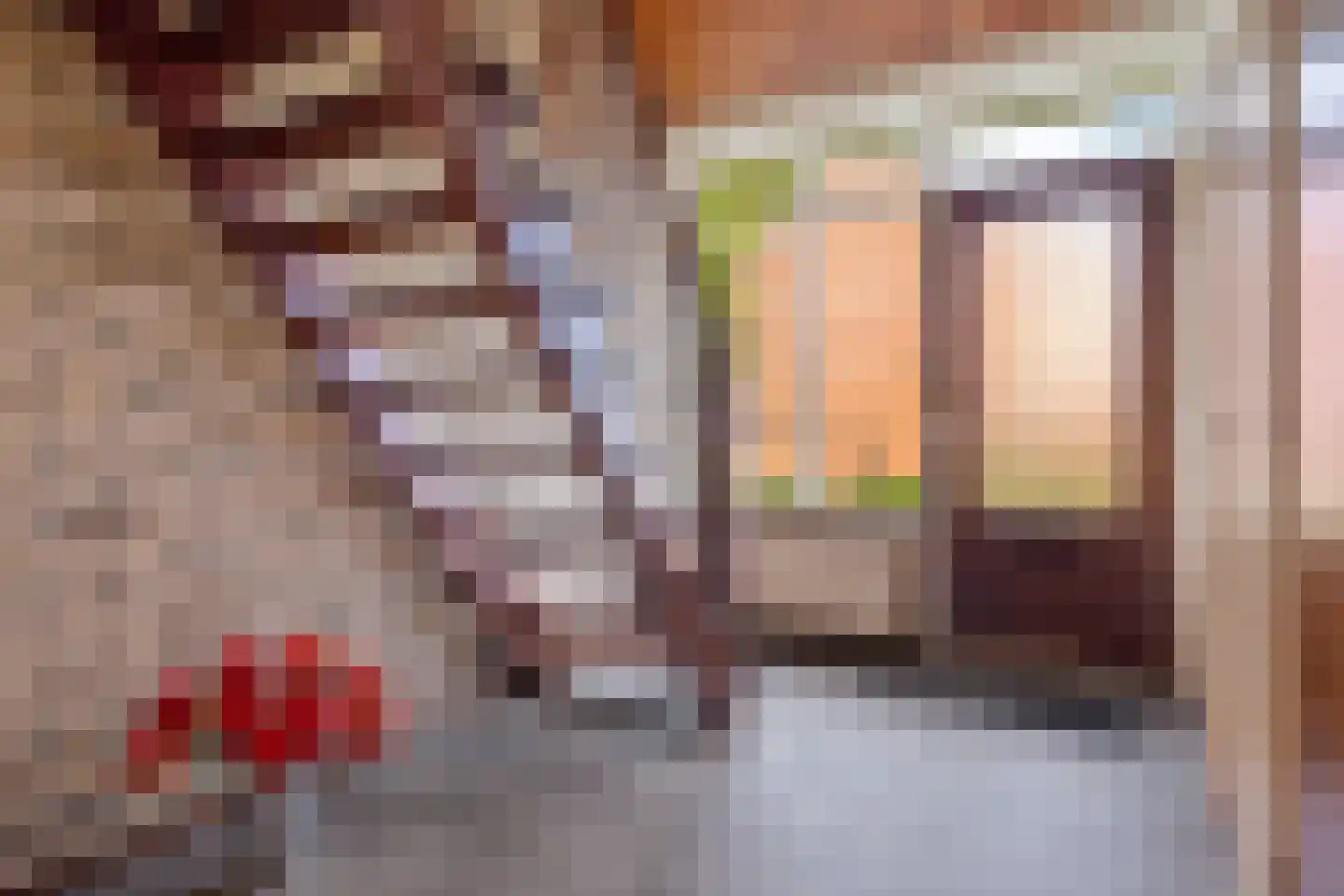 Boerrichter 18 Sellingen thumbnail 5