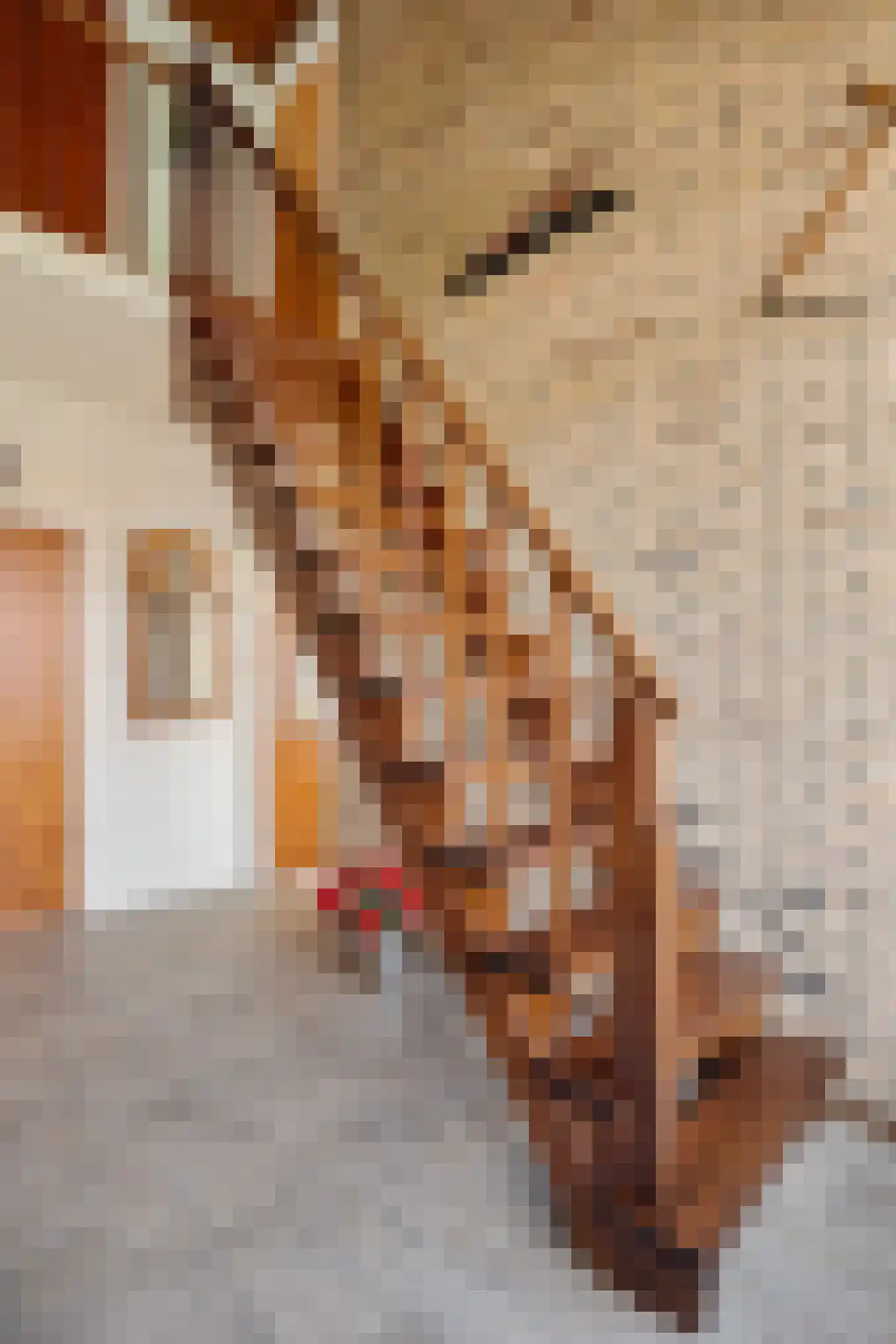 Boerrichter 18 Sellingen thumbnail 7