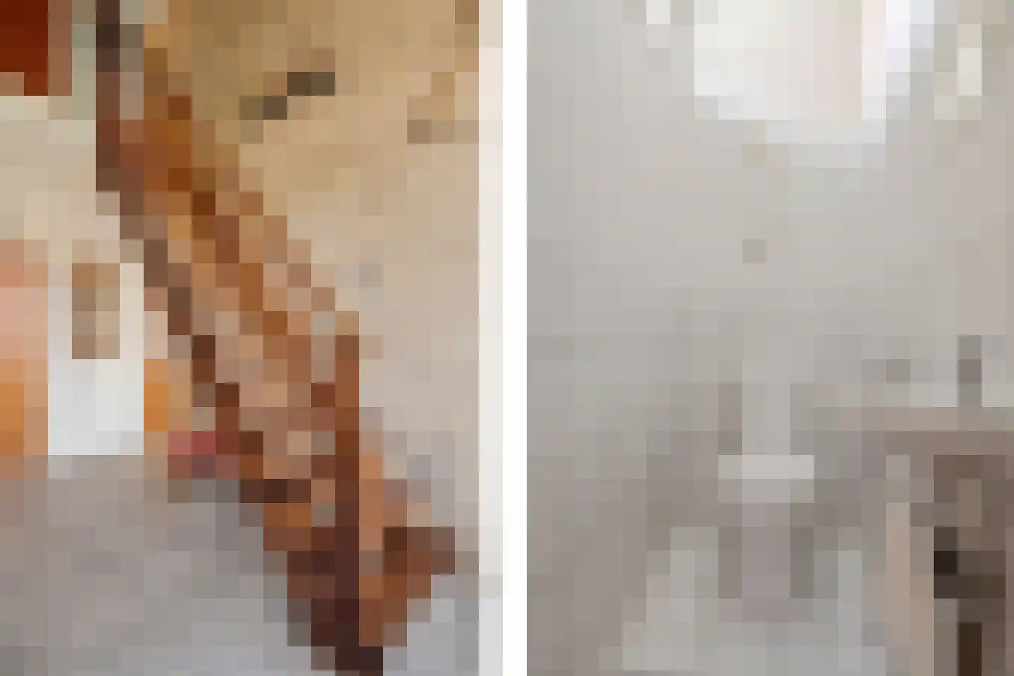 Boerrichter 18 Sellingen thumbnail 9