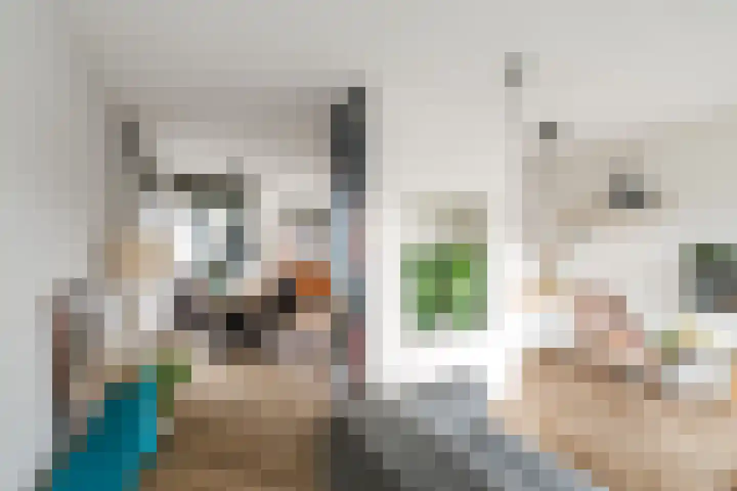 Boerrigterstraat 5 Epe thumbnail 11