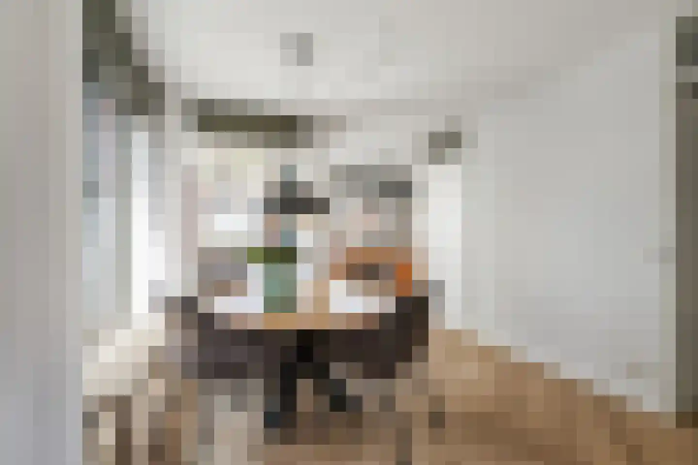 Boerrigterstraat 5 Epe thumbnail 15