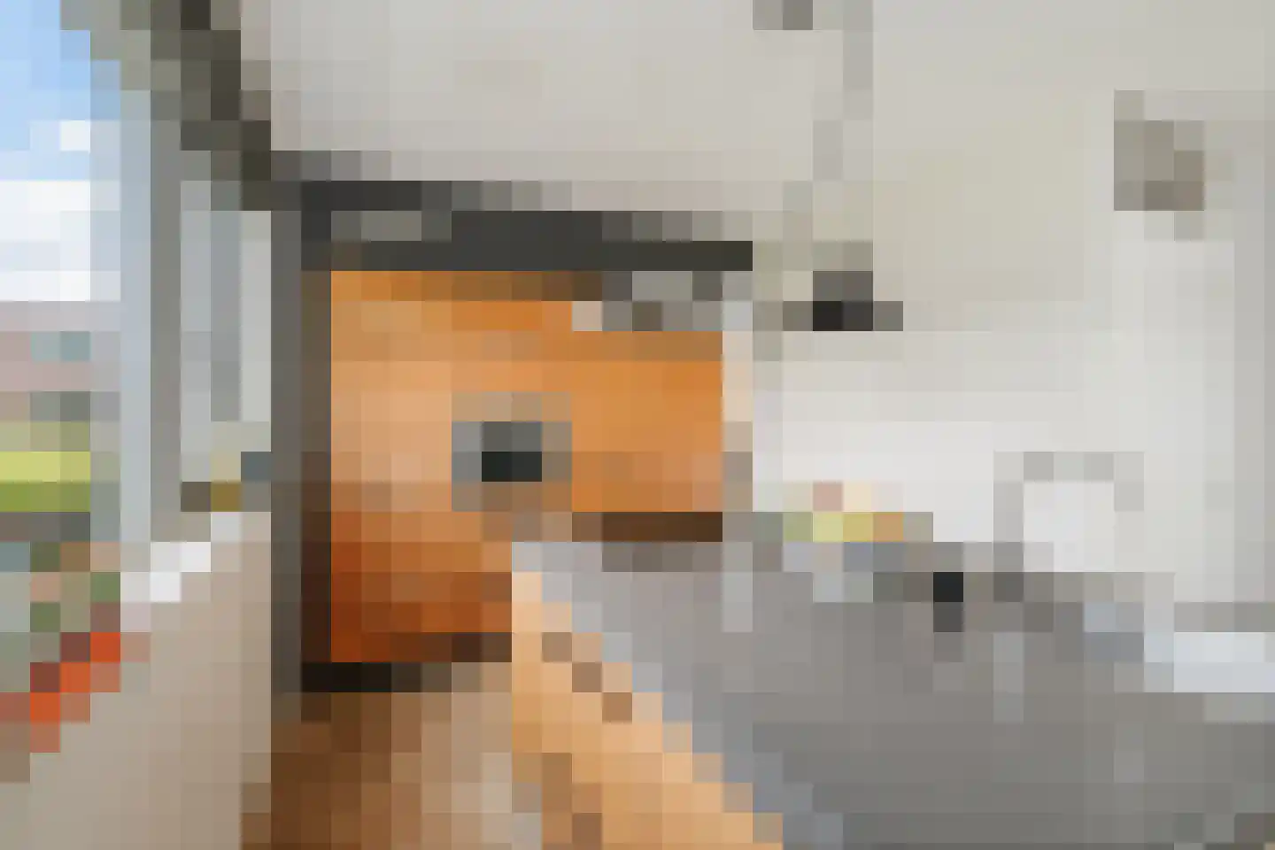 Boerrigterstraat 5 Epe thumbnail 16