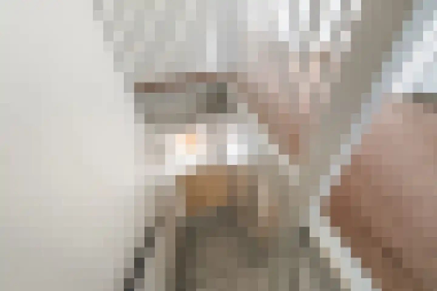 Boerrigterstraat 5 Epe thumbnail 19