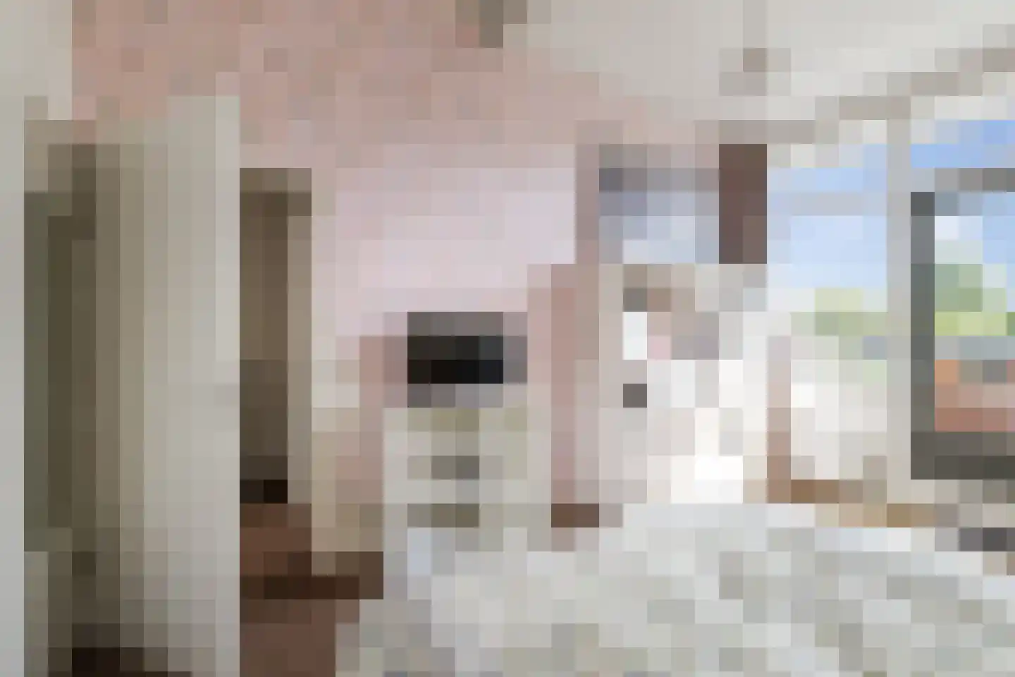 Boerrigterstraat 5 Epe thumbnail 21
