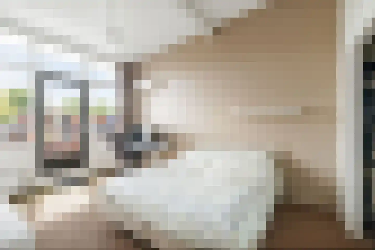 Boerrigterstraat 5 Epe thumbnail 22