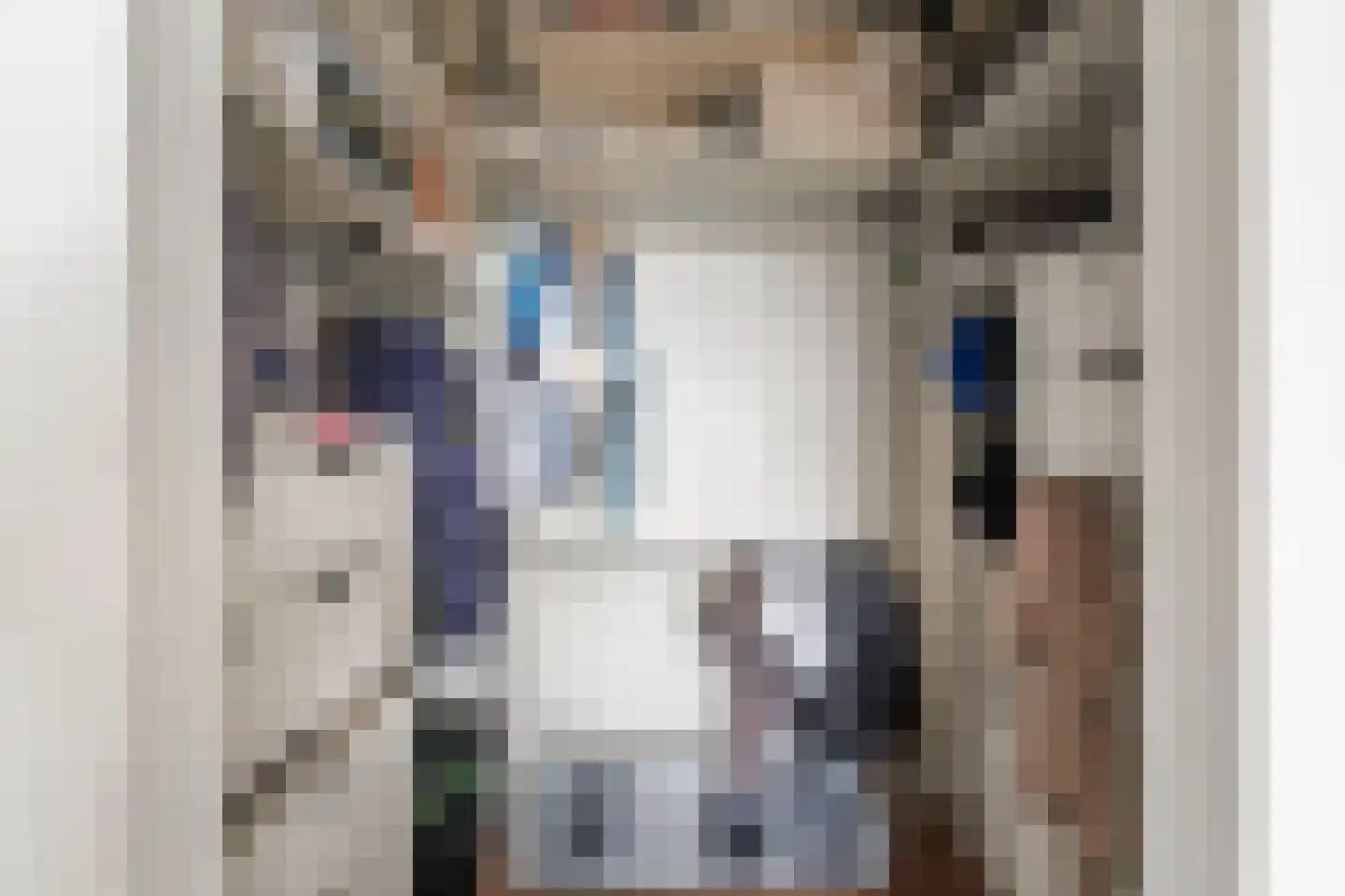 Boerrigterstraat 5 Epe thumbnail 26