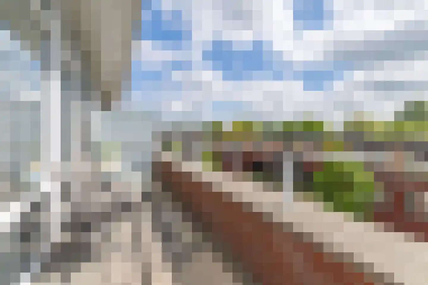 Boerrigterstraat 5 Epe thumbnail 33