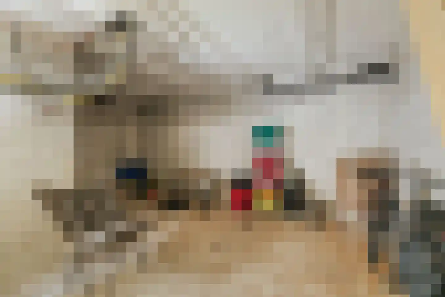 Boerrigterstraat 5 Epe thumbnail 37
