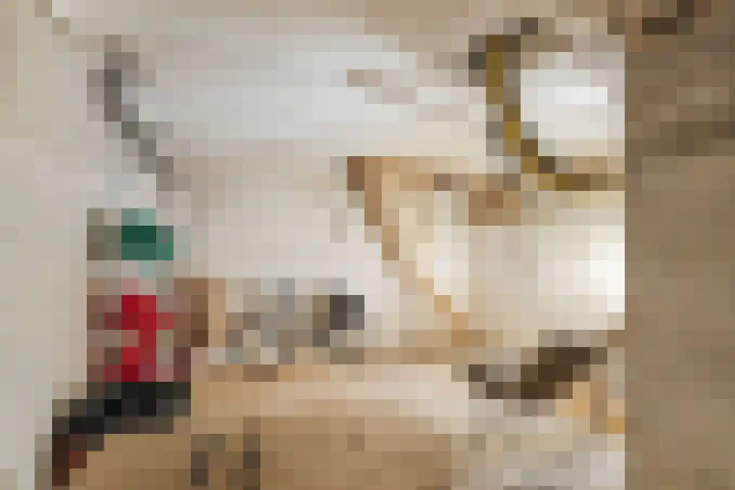 Boerrigterstraat 5 Epe thumbnail 38