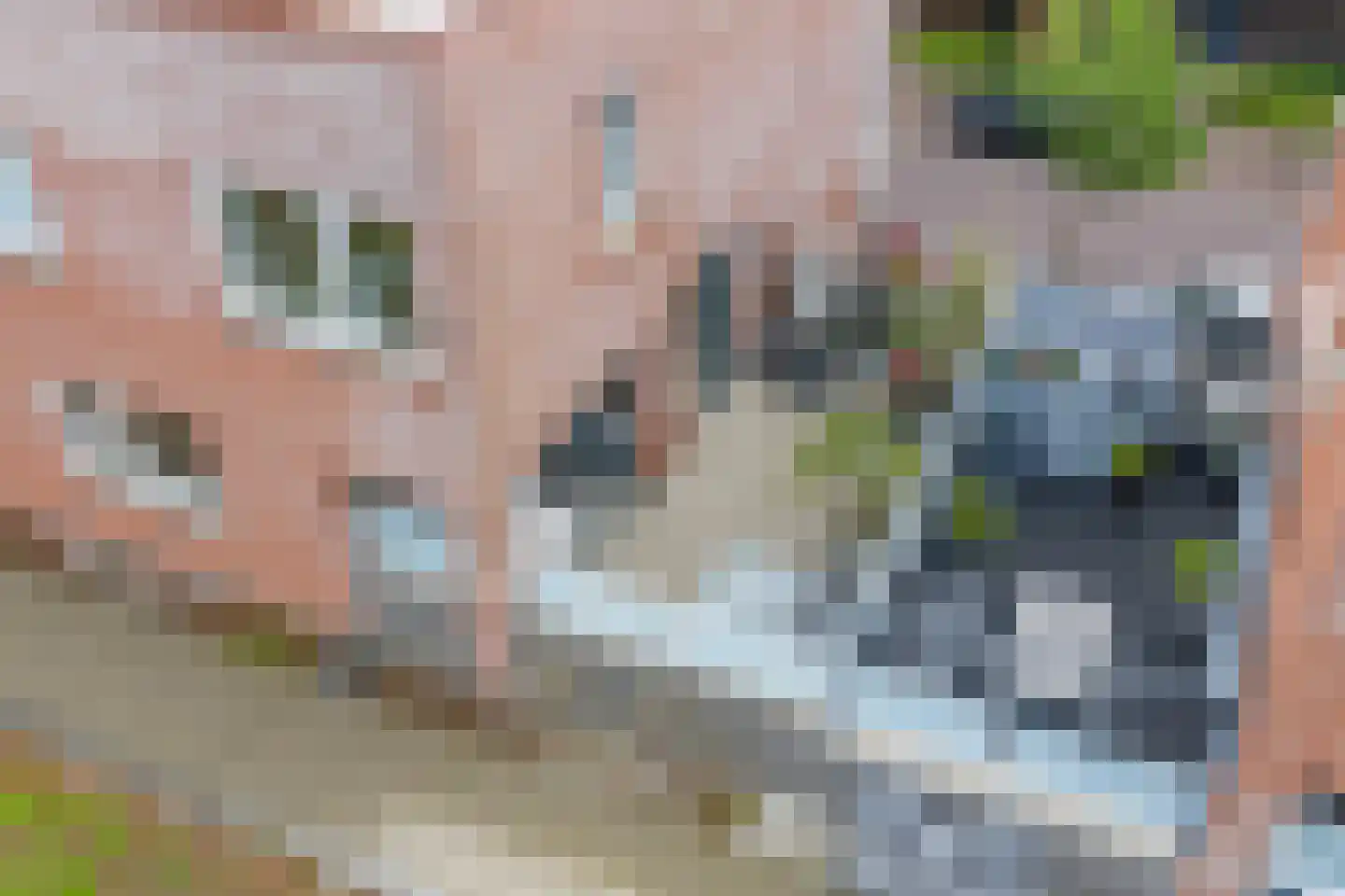 Boerrigterstraat 5 Epe thumbnail 45