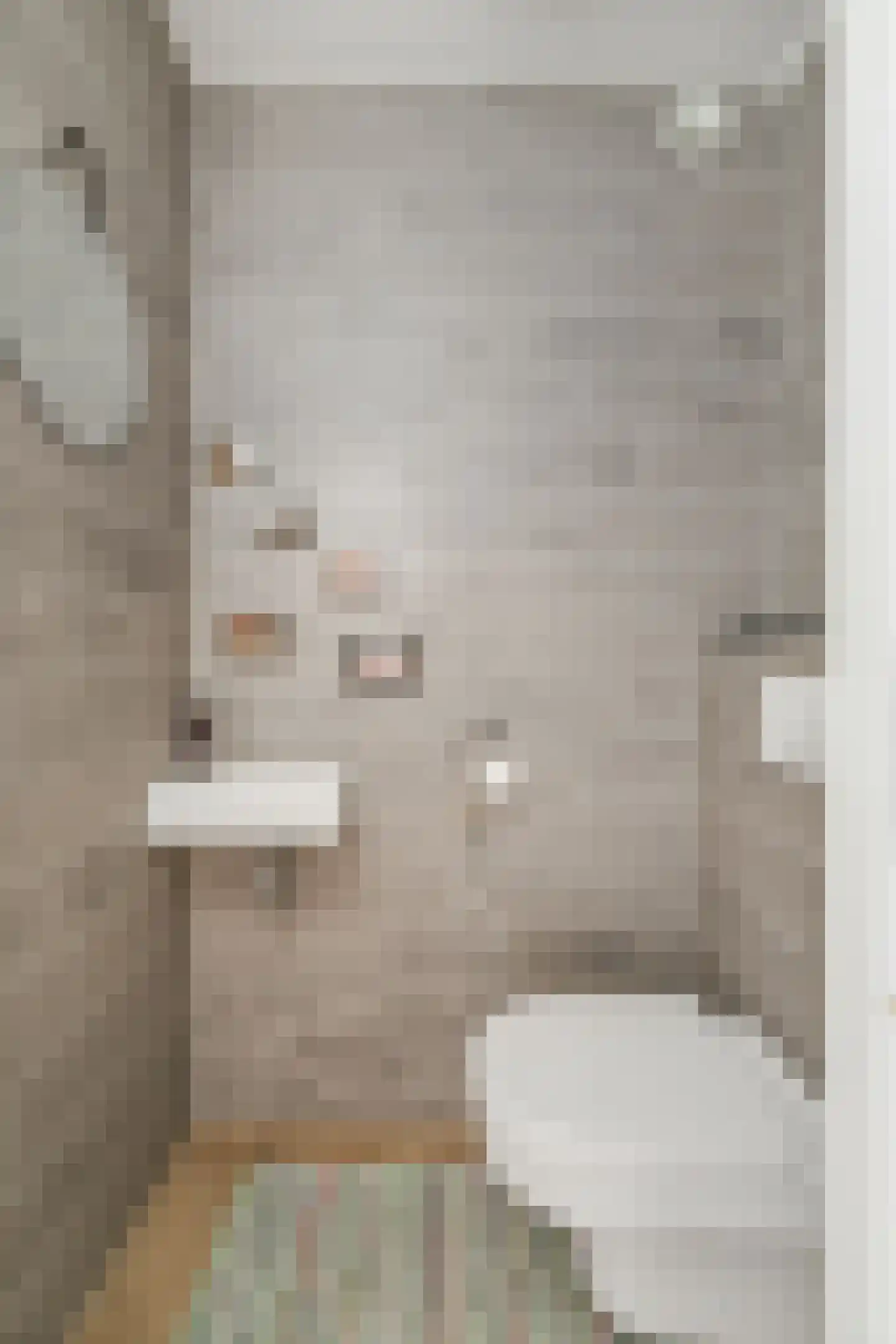 Boerrigterstraat 5 Epe thumbnail 46