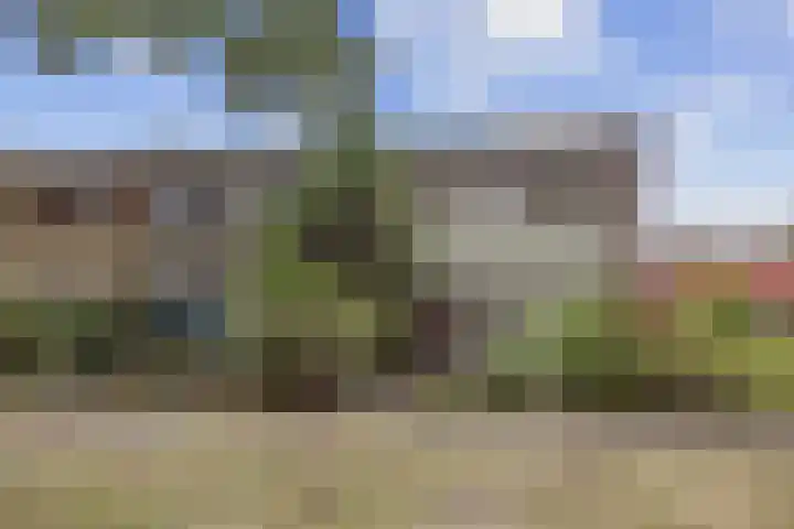 Boerschaplaan 72 Emmen thumbnail 38