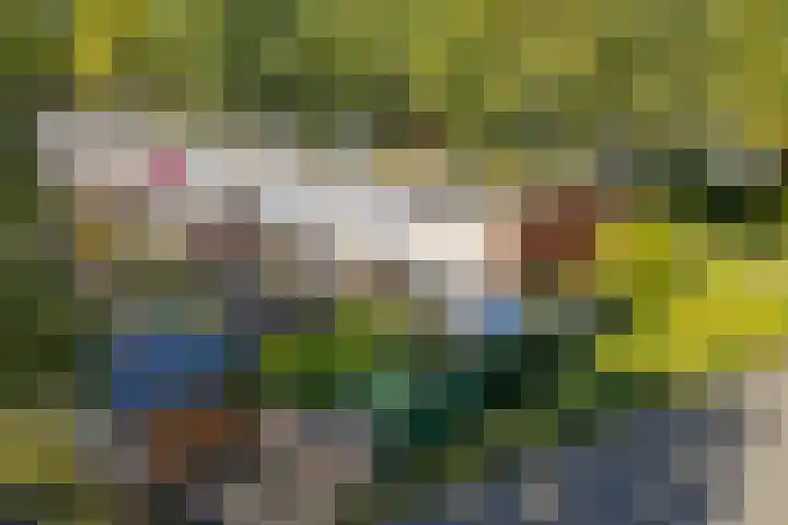 Boerschaplaan 86 in Emmen