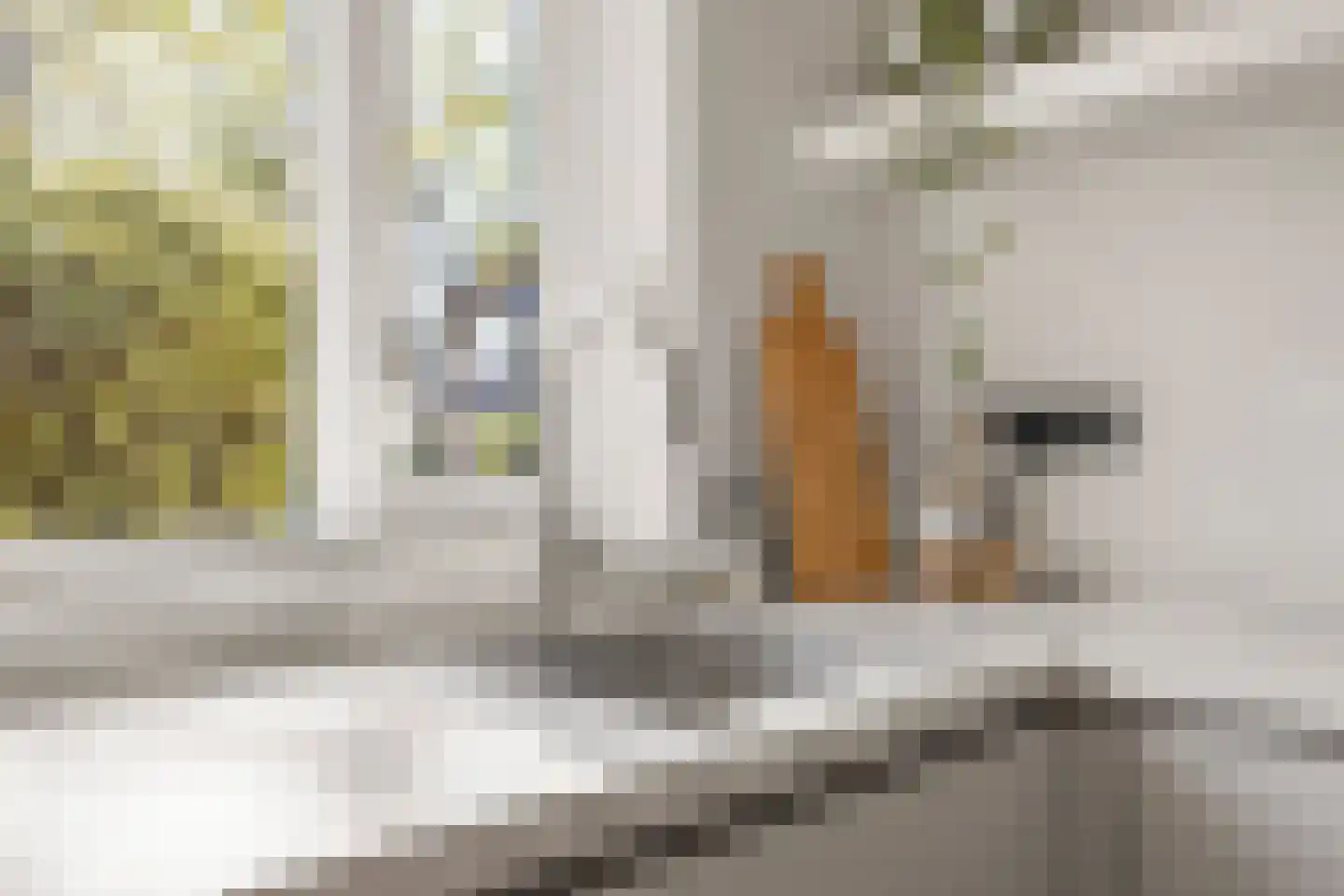 Boersenserf 15 Hoevelaken thumbnail 15