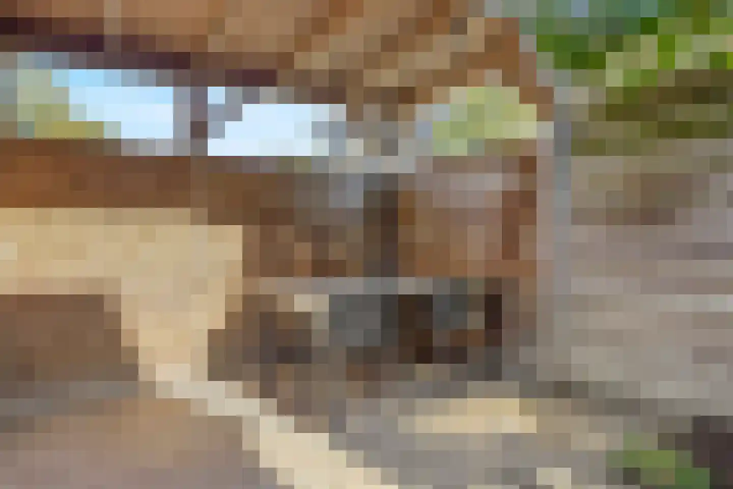 Boersenserf 15 Hoevelaken thumbnail 19