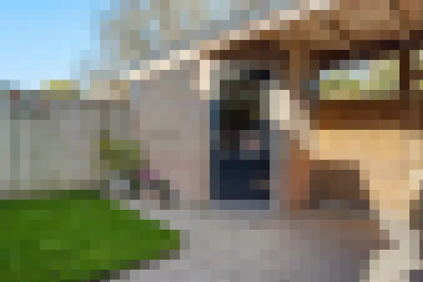 Boersenserf 15 Hoevelaken thumbnail 20
