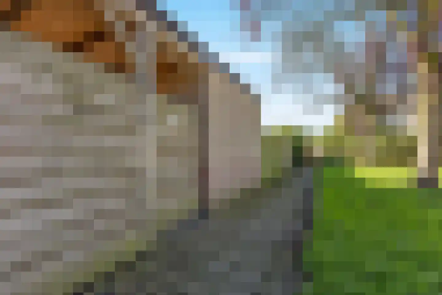 Boersenserf 15 Hoevelaken thumbnail 36
