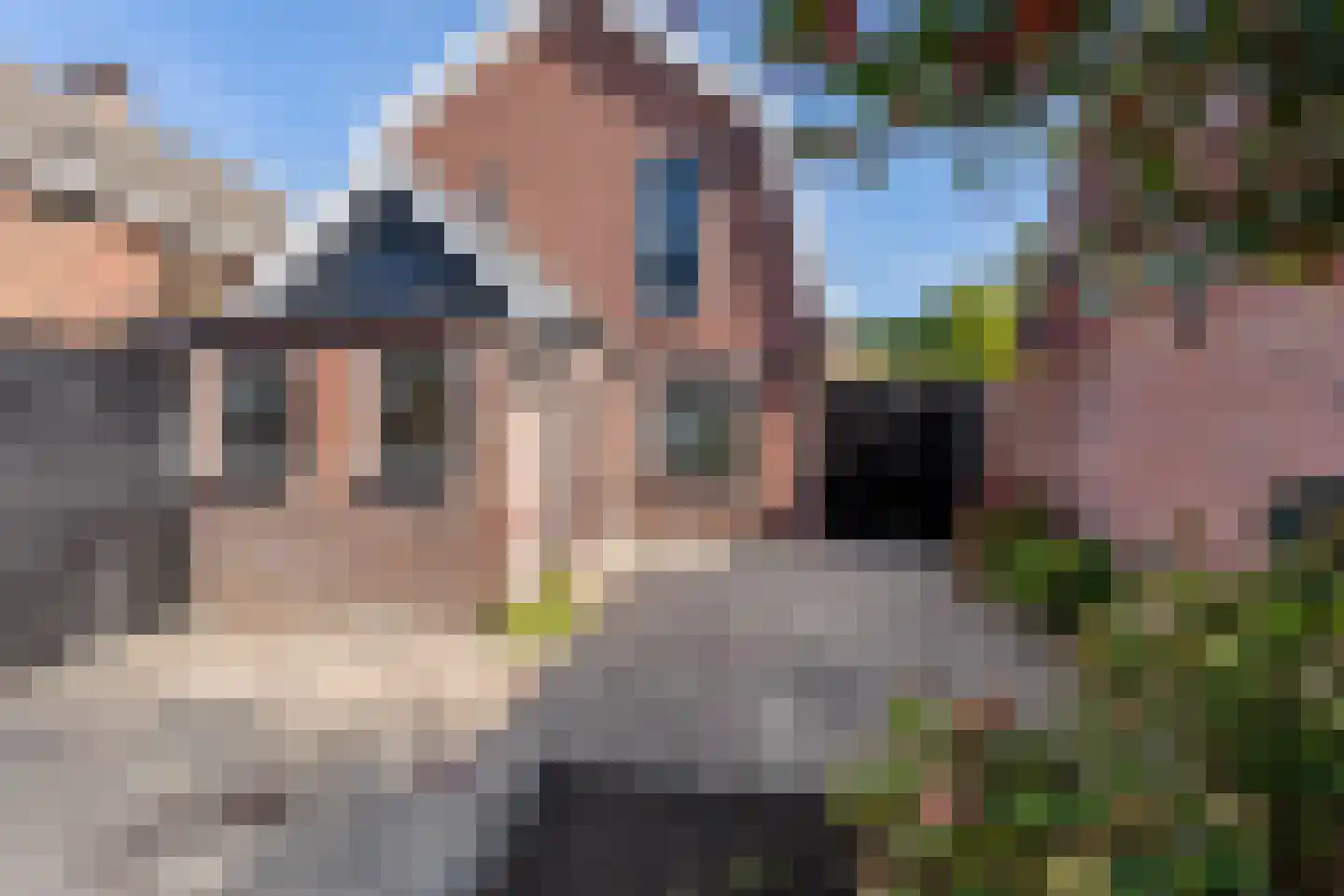 Boerskottenlaan 66 Oldenzaal thumbnail 20